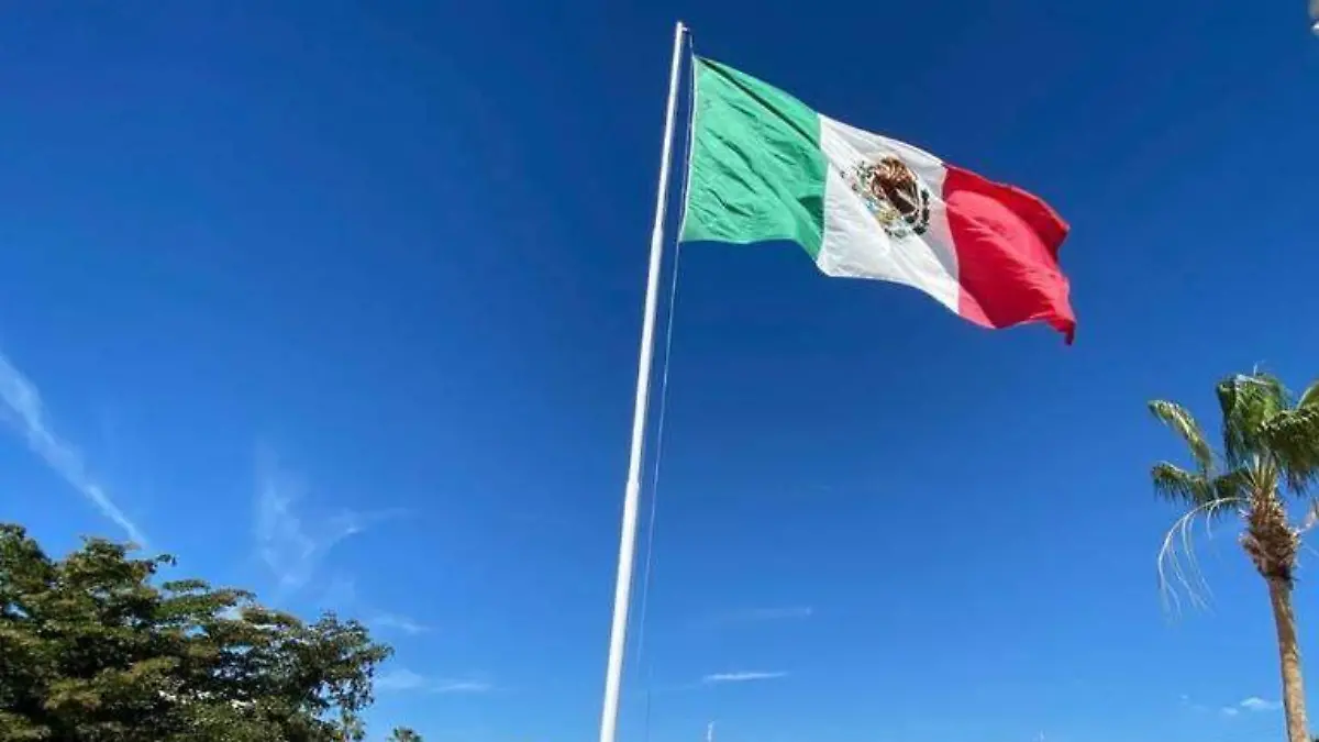 Bandera Mexico 1